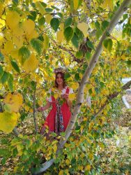  настроение. Номинация Русская осень